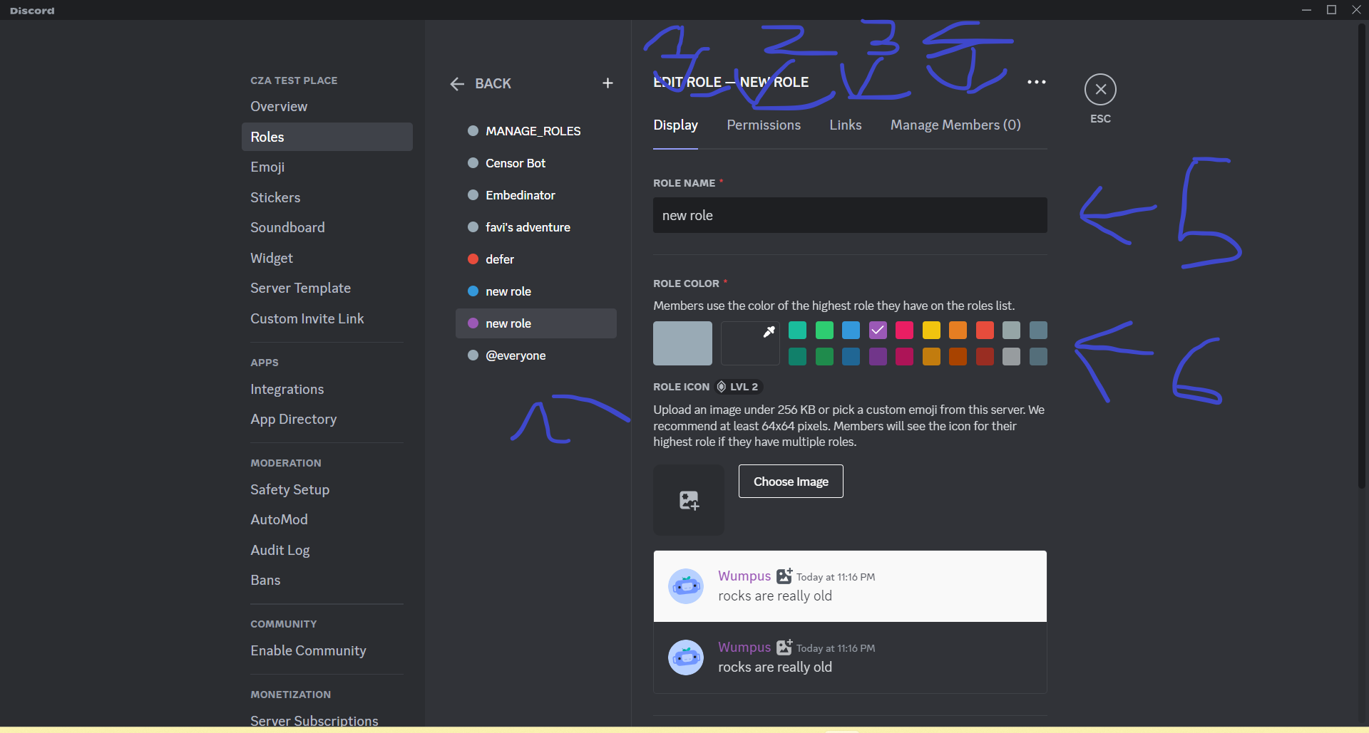 discord's Role settings as of Mon, 17 Jun 2024 21:05:46 GMT